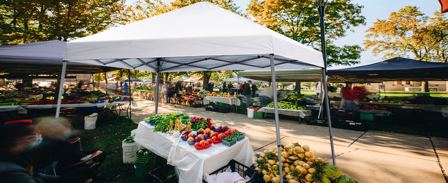 Pop Up Canopy Tent