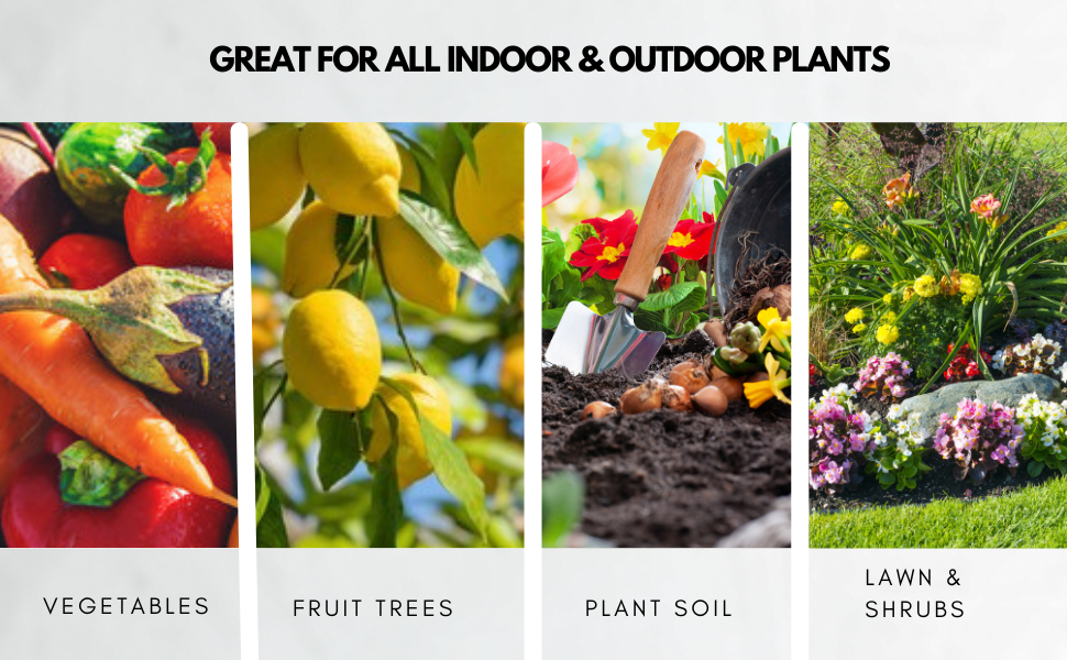gs plant foods