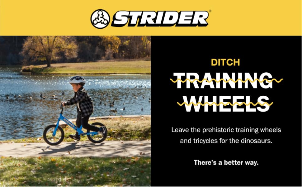 Strider