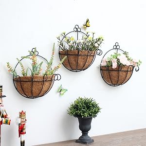 Wall Hanging Planter