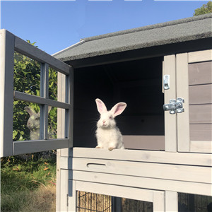 rabbit hutch