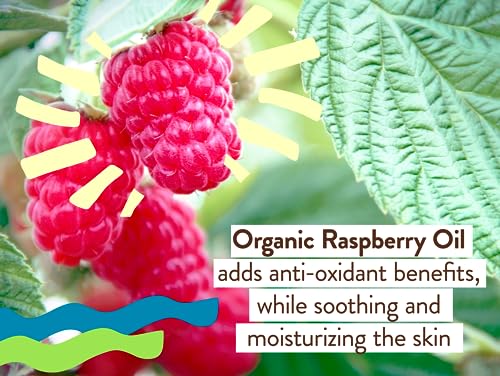Babo Botanicals Daily Sheer Mineral Face Sunscreen Lotion SPF40 - Natural Zinc Oxide & Titanium Dioxide - 70% Organic Ingredients - Raspberry Oil & Aloe Vera - Fragrance Free - For Face - For all ages