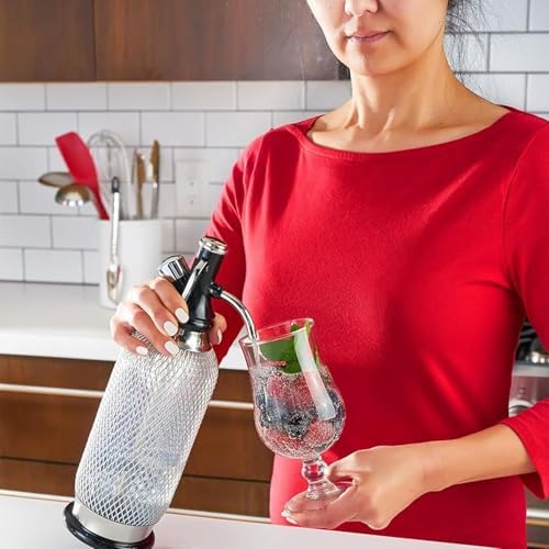 iSi North America Soda Siphon Classic Mesh Sodamaker for Making Carbonating Beverages, 1 Quart, Stainless Steel,Silver