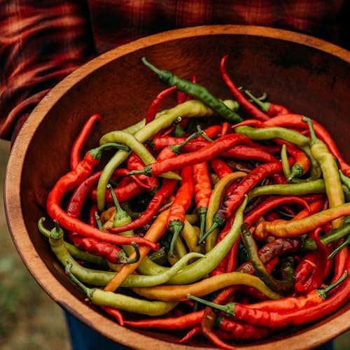 Surmeli Turkish Sweet Pepper - 25 Seeds - Rare Heirloom Turkish Pepper, USA-Grown