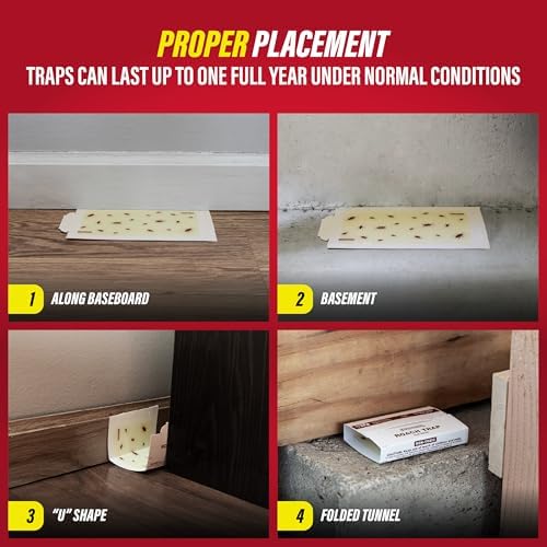 Catchmaster Roach Trap Glue Boards 6-Pk, Adhesive Bug Catcher, Insect & Roach Killer, Scorpion, Spider, Cricket, & Cockroach Traps for Home