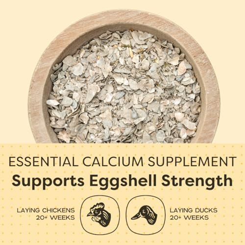 Scratch and Peck Feeds | Oyster Shell Chickens & Ducks | 4 lb Pouch | Essential Calcium Supplement for Eggshell Strength and Hen Health, All Natural, Sustainably Sourced