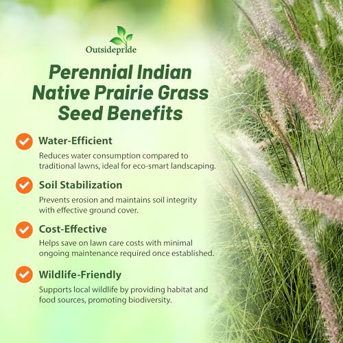 Outsidepride Indian Native Grass Seed - 1 lb. Perennial, Low Maintenance, Drought-Tolerant Prairie Grass Seed for Wildlife Habitat, Livestock Forage, Ornamental Landscaping & Erosion Control
