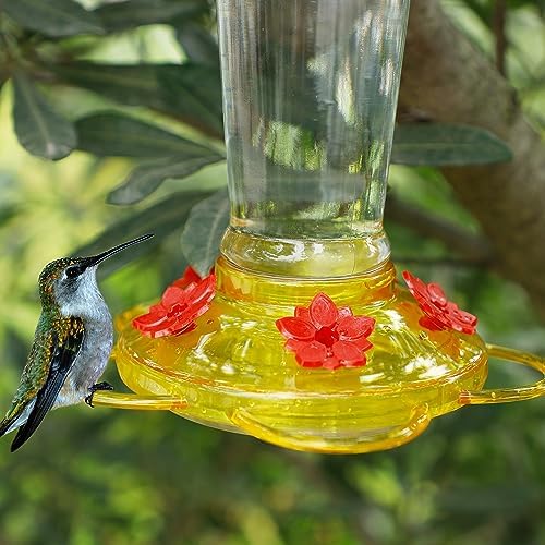 Shrdaepe Hummingbird Feeder, Glass Bottle Bird Feeders, 5 Feeding Ports, 10-Ounce Nectar Capacity