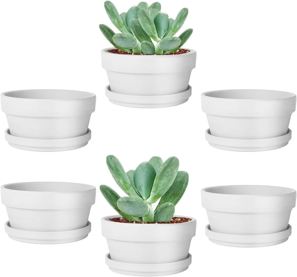 vensovo 3.7 Inch Terracotta Shallow Succulent Pots with Saucers, 6 Pack