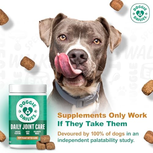 Doggie Dailies Hip & Joint Chews for Dogs, Chicken, All Breeds, 225 Count | Glucosamine & Chondroitin Supplement, Supports Joint Health & Mobility, Soft Chews for Dogs of All Breeds & Sizes