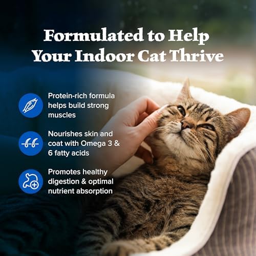 Blue Buffalo Wilderness Chicken Adult Indoor Dry Cat Food, Grain-Free, 5 lb | High Protein, Real Chicken #1 Ingredient