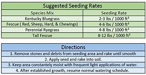 Jacklin Seed - Blue Genes - 100% Kentucky Bluegrass | Certified Grass Seed (10 lbs (4,000 sq ft))