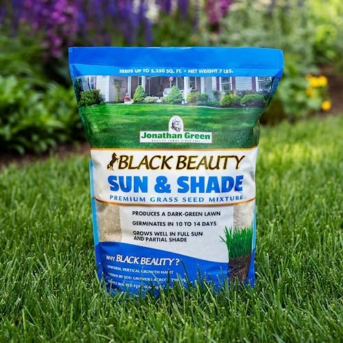 Jonathan Green (12005) Black Beauty Sun & Shade Grass Seed - Cool Season Lawn Seed (7 lb)