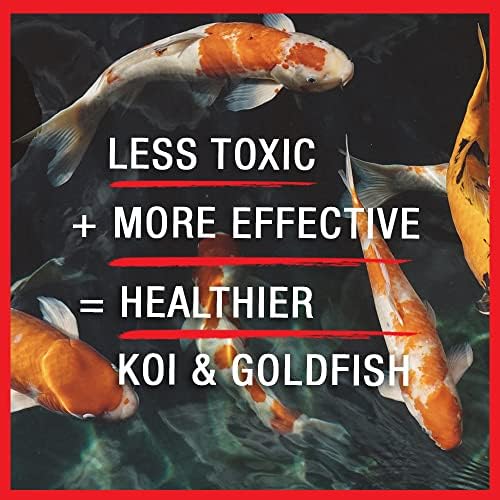 MICROBE-LIFT BSDT16 Broad Spectrum Disease Treatment for Ponds and Outdoor Water Garden, Safe for Live Koi Fish, Goldfish, Plants, and Decor, 16 Fl Oz