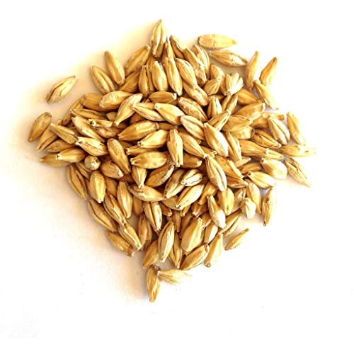 RAHR 6-Row Malted Barley 2 LBS CRUSHED Home Brewing Beer Making Recipe Ingredients Vacuum Sealed 1 Gallon Small Batch