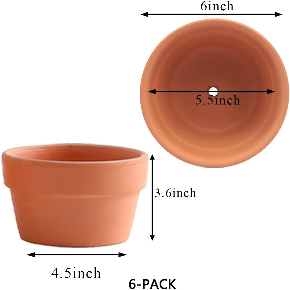 Yishang 6 Inch Terracotta Shallow Planters, Ceramic Flower Clay Plant Pots with Drainage Hole