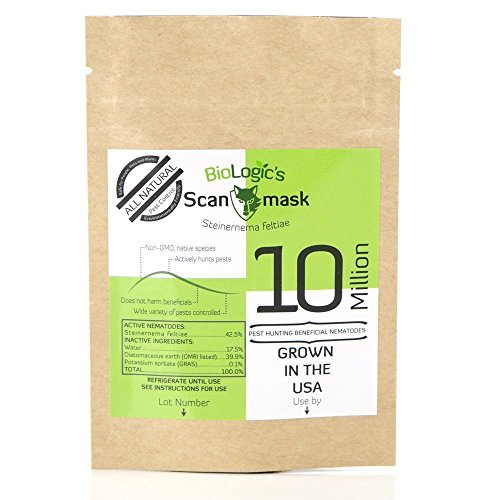 Scanmask Beneficial Nematodes, Steinernema feltiae Sf Nematodes for Natural Insect Pest Control (10 Million)
