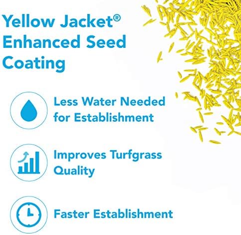 Barenbrug Turf Blue Healthy Grass Technology Grass Seed with Yellow Jacket Coating - Heavy Traffic Seed for Use on Sports Fields, Golf Courses, Parks