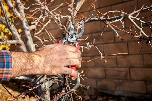 Corona Tools DualCUT Forged Steel Bypass Hand Pruner – 1″ Cutting Capacity Garden Pruning Shears for Branch & Stem Cutting