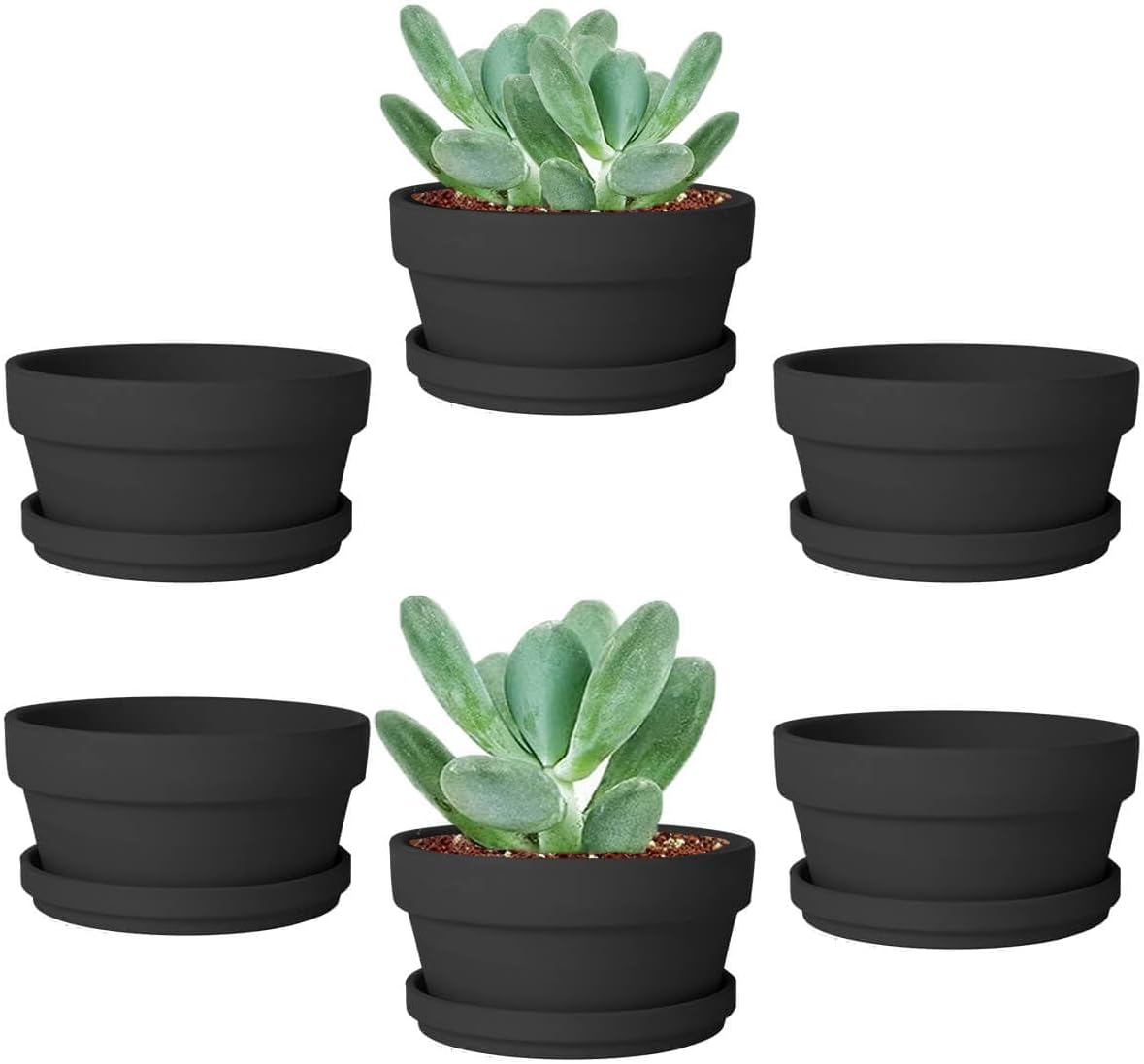 vensovo 3.7 Inch Terracotta Shallow Succulent Pots with Saucers, 6 Pack