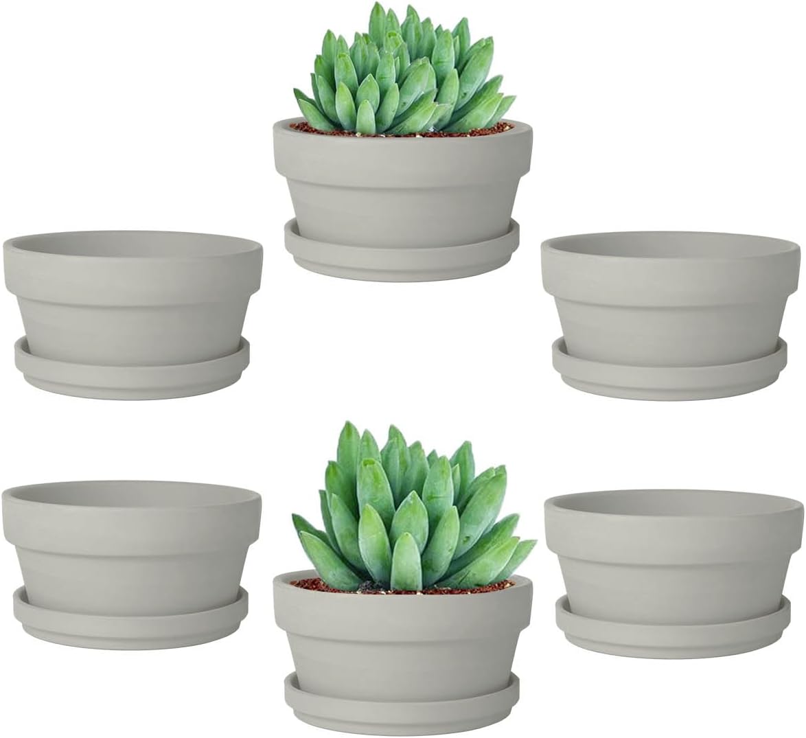 vensovo 3.7 Inch Terracotta Shallow Succulent Pots with Saucers, 6 Pack