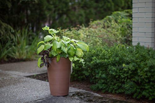 Algreen Valencia Round Planter Pot, 12.25 by 18-Inch, Textured Brown | Round Shape, Indoor Use, UV And Weather Resistant, Drainage Hole With Removable Plug, Lightweight 5.51 lb