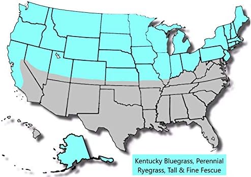 Jacklin Seed - Blue Genes - 100% Kentucky Bluegrass | Certified Grass Seed (10 lbs (4,000 sq ft))