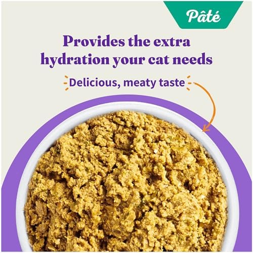 Halo Wet Cat Food Real Chicken Recipe, Grain-Free Wet Pate, Canned Cat Food for Extra Hydration, 5.5 Oz Can (Pack of 12)