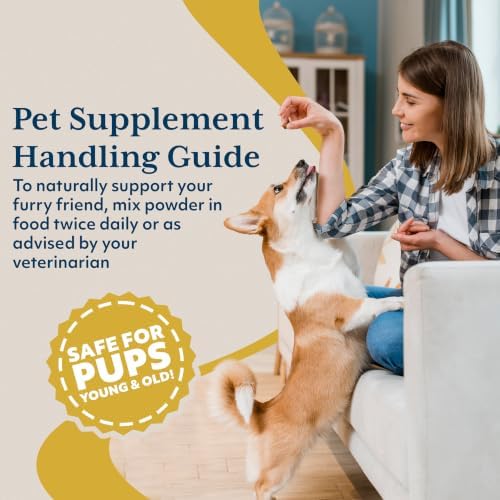 Ayush Pet CoCurcumin with CoQ10, Immune Support, 5.2 Oz