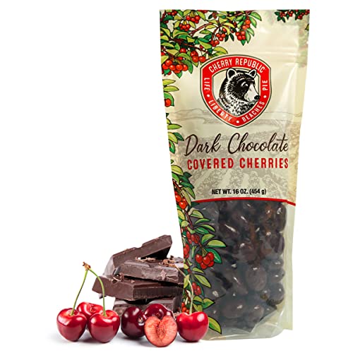 Cherry Republic Dark Chocolate Covered Cherries, 7 oz Bag | Premium Montmorency Dried Cherries Coated in Rich 60 Percent Dark Chocolate, Balanced Tart and Sweet Flavor, Made in Michigan