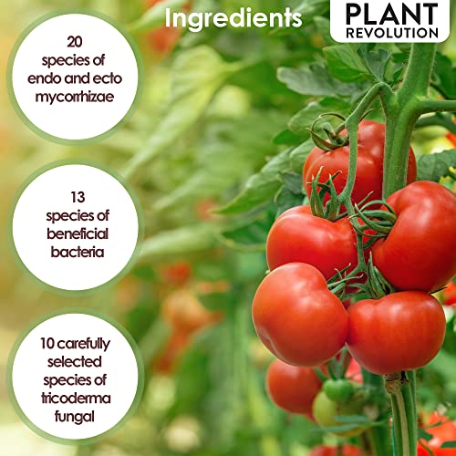 Mycorrhizal Fungi Plus Starter Fertilizer for Plants, Plant Success Organics, Root Stimulator, Treats 30 Plants