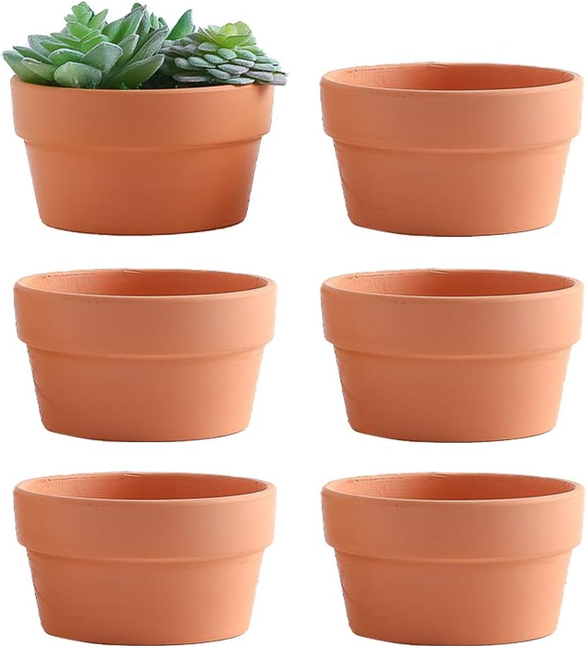 Yishang 6 Inch Terracotta Shallow Planters, Ceramic Flower Clay Plant Pots with Drainage Hole