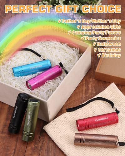 EverBrite 18-Pack Mini LED Flashlight Set,Portable Compact | Ideal for Hurricane Supplies Camping, Night Reading, Cycling, BBQ, Party, Backpacking,with Lanyards & 54 x AAA Batteries