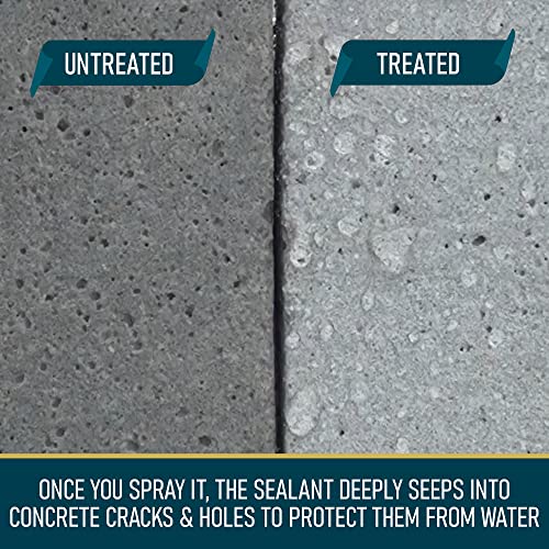 NOON'S UP Mica-Seal Waterproof Bird Bath & Concrete Sealer Spray, 16.90 oz