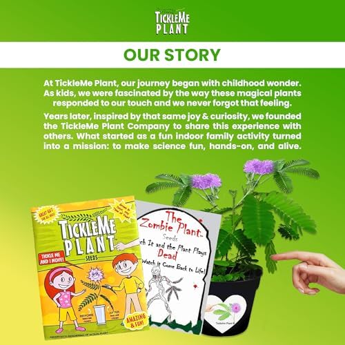Zombie Plant Seed Packets – Grow a Live Sensitive Plant that Plays Dead When Touched! Indoor Plant Seeds & Educational STEM Activity | House Plant Seeds | Unique Garden Seeds – 2 Pack