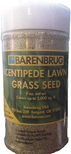 Barenbrug USA Barenbrug Centipede Grass Seed