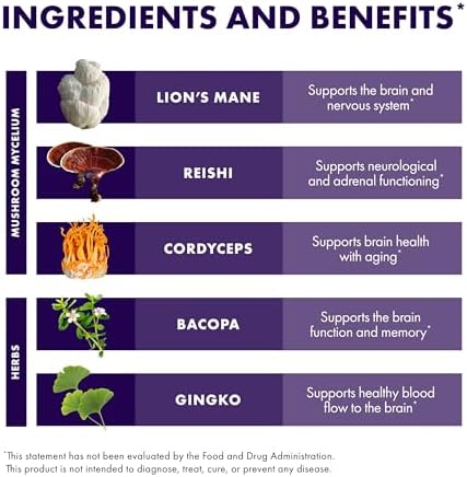 Host Defense MycoBotanicals Brain* Capsules - Brain Support Supplement with Lion's Mane, Reishi & Cordyceps Mushroom - Herbal Supplement for Memory & Focus Support - 60 Capsules