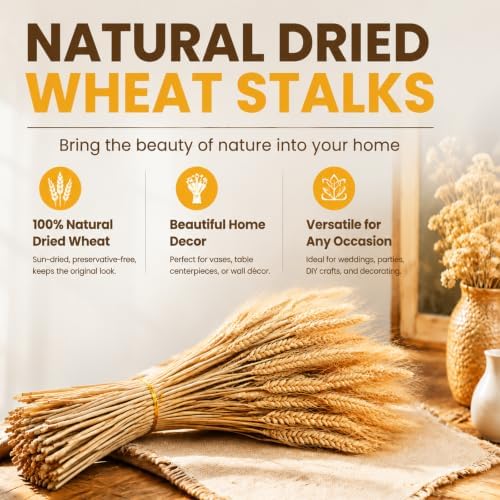 Yarlung 300 Stems Dried Wheat Stalks, 16 Inch Natural Wheat Sheaves Fall Arrangement for DIY Craft, Home Table, Wedding Decor