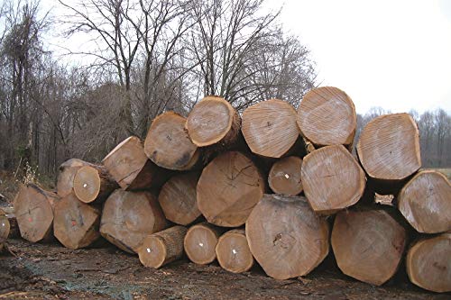ANCHORSEAL Classic Log and Lumber End Sealer, Prevents Checking, 1 Quart | Water Based Wax Emulsion, Prevents up to 90% of Checking, Drying Splits Prevention, Hardwood & Softwood Compatible
