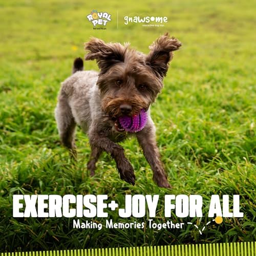 Gnawsome Dog Toys - 2.5-Inch Spiky Squeaker Basketball - Small - Dental & Gum Wellness - Stimulating Fun - Hidden Squeaker - Durable for Heavy