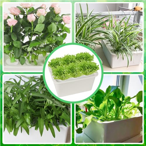 Hydroponics Grower Kit DIY Self Watering Indoor Hydroponics Tools Hydroponic System Planting Container Include Aquarium Air Pump Buoy Planting Box
