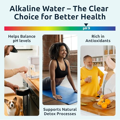 Invigorated Water Alkaline Water Filter Dispenser, 53-Cup Large Capacity