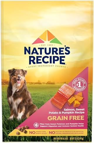 Nature's Recipe Grain Free Salmon Dry Dog Food, 24 lb. Bag | Fiber From Sweet Potatoes & Pumpkin Helps Support Digestion and Immune System Health