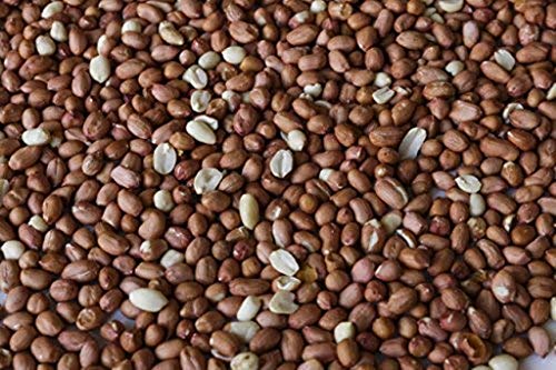 Peanuts without the shell. Woodchucks Wood brand. 30 Pounds