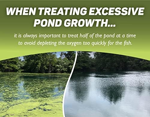 Crystal Plex - Lake and Pond Algaecide Treatment - Liquid Copper Algaecide Kills and Prevents Various Types of Algae (Planktonic, Filamentous