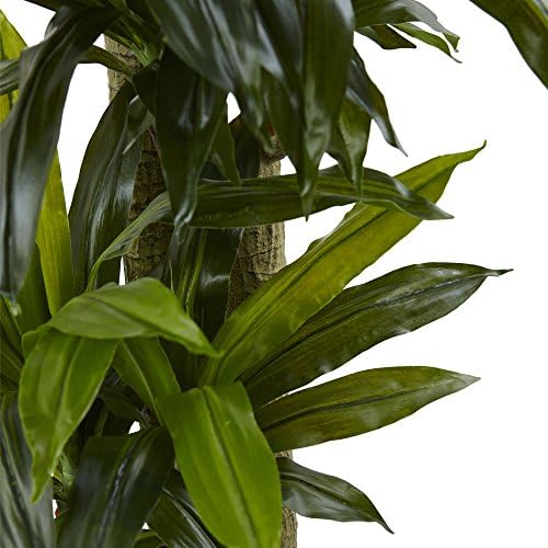 Nearly Natural 5.5ft. Corn Stalk Dracaena with Black Wash Planter