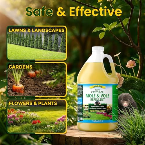 Nature's MACE Mole and Vole Mace, Mole Deterrent for Yard, 1 Gallon, 100% Pure Castor Oil, Lawns, Mole Repellent, Stop Tunneling, Mole Remover Treatment, Castor Oil Repellent, People, Pet, Plant Safe
