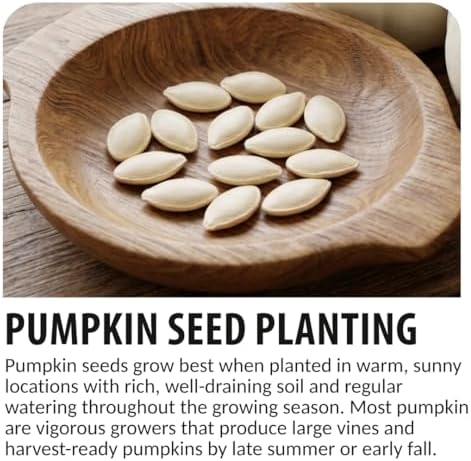 Biggest Pumpkin in The World | 10 Seeds | Grow Atlantic Giant Pumpkins