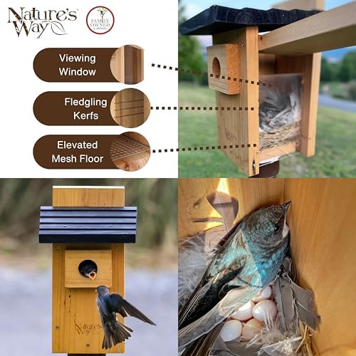 Nature's Way Bird Products CWH4 Cedar Bluebird Viewing House
