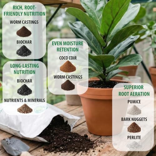 Organic Fiddle Leaf Fig Soil, Well-Draining Potting Mix, Large 7.5L Bag